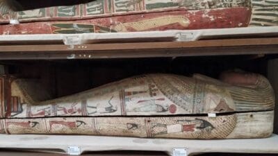 İngiltere’deki University College London (UCL) ve Slovenya’daki Ljubljana Üniversitesi’nden bilim