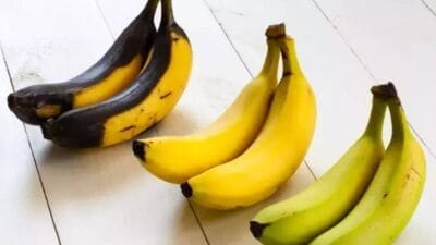 Muz, lezzeti ve besleyici değeriyle sofraların vazgeçilmez meyvesi olsa da