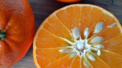 Portakalın kendisi, suyu ve kabuğu sağlık açısından bilinen faydalarıyla sıkça