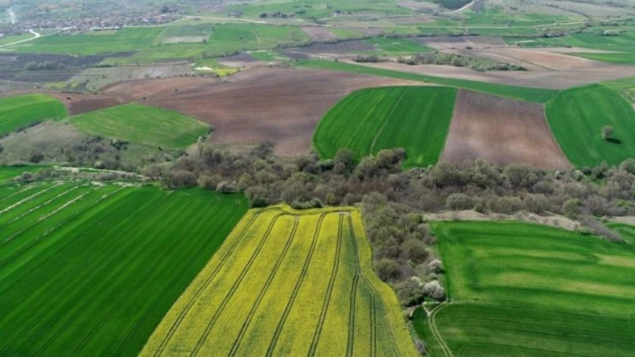 Toplu Konut İdaresi Başkanlığı (TOKİ), altın değerinde arsa yatırım fırsatları