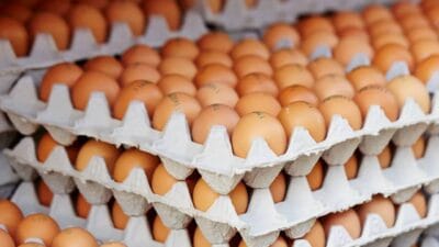 1 Mart'ta başlayacak Ramazan öncesinde yumurta tedbiri geldi. Arz sıkıntısı