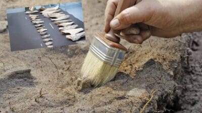 Tanzanya’da yapılan bir kazı sırasında, yaklaşık 1,5 milyon yıl öncesine