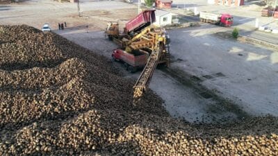 Sukkar Şeker, 2024-2025 üretim dönemi için Erzurum ve Erzincan Şeker