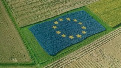 Avrupa Birliği (AB), kıtadaki çiftçilerin yaşadığı zorluklara yanıt vererek, tarımsal