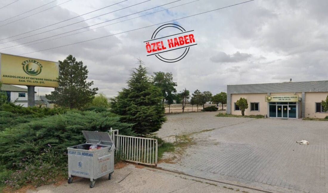 2017 yılında kurulan ve Türkiye’nin en büyük kaz üreticilerinden biri