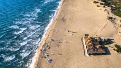Nesli tükenme tehlikesi altında bulunan deniz kaplumbağalarının yuvalama alanları arasında