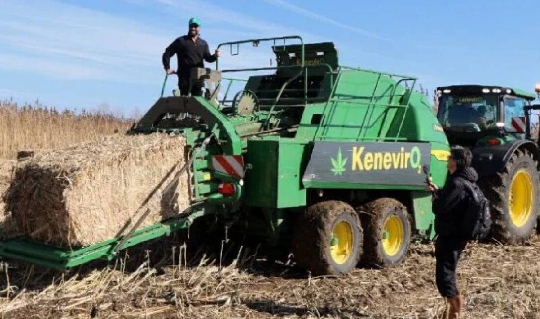 Samsun'da 2019 yılında kurulan ve 2023'te dev bir tesisle faaliyete