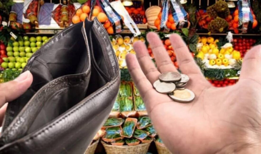 DİSK/Birleşik Metal-İş Sınıf Araştırmaları Merkezi (BİSAM) tarafından Mayıs ayı için