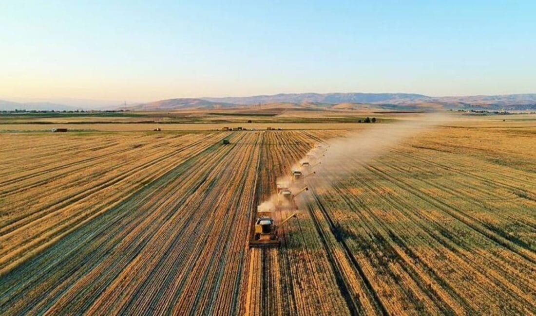 Türkiye’de tarımda bir ilk Türkiye, tarım sektöründe bugüne kadarki en büyük başarılardan birine imza