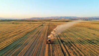 Türkiye, tarım sektöründe bugüne kadarki en büyük başarılardan birine imza