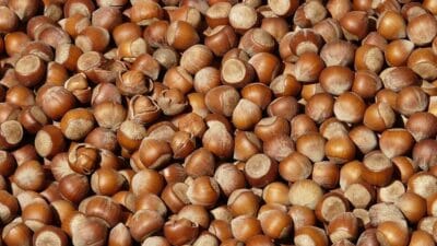 Türkiye, dünya fındık pazarındaki liderliğini 2024–2025 ihracat sezonunda da sürdürdü.