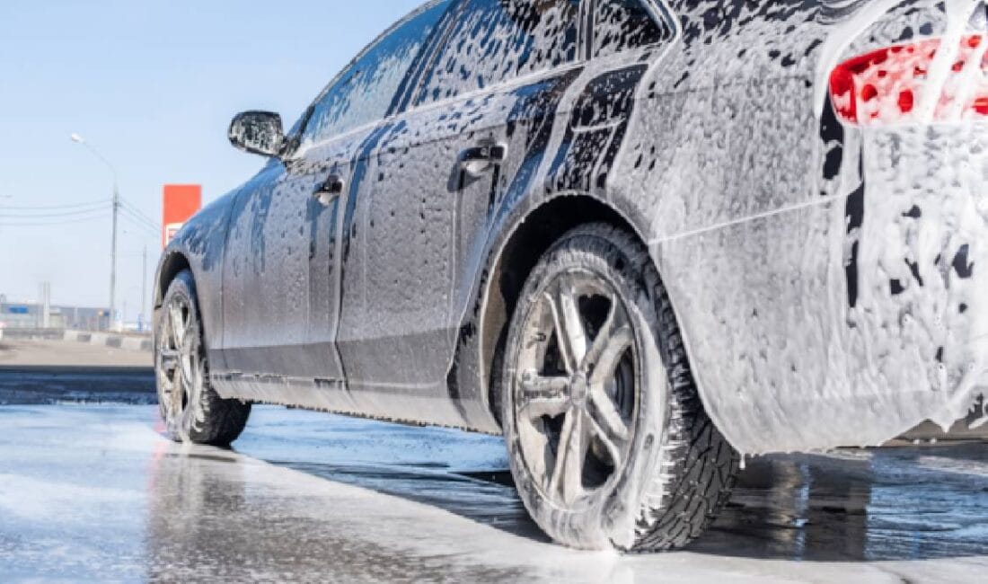 Almanya’da çevreyi koruma ve kamu düzenini sağlama amacıyla uygulanan yasalar,