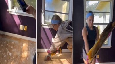 Bir çiftçinin evinin döşemesi altından çıkan dev arı kolonisi şaşkınlık