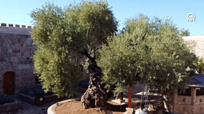 Mimar Sinan tarafından 1574'te inşa edilen Sokullu Mehmet Paşa Külliyesi'ndeki