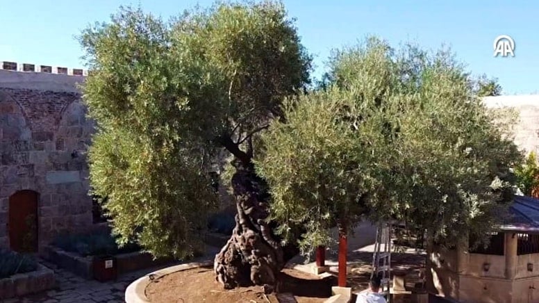 Mimar Sinan tarafından 1574'te inşa edilen Sokullu Mehmet Paşa Külliyesi'ndeki