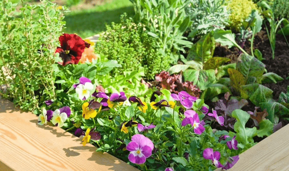 House Beautiful dergisine göre, sonbahar ekimi, özellikle çok yıllık bitkiler