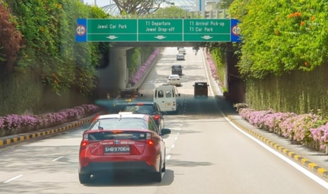 Singapur denince akla yüksek refah seviyesi, düzenli bir şehir yaşamı