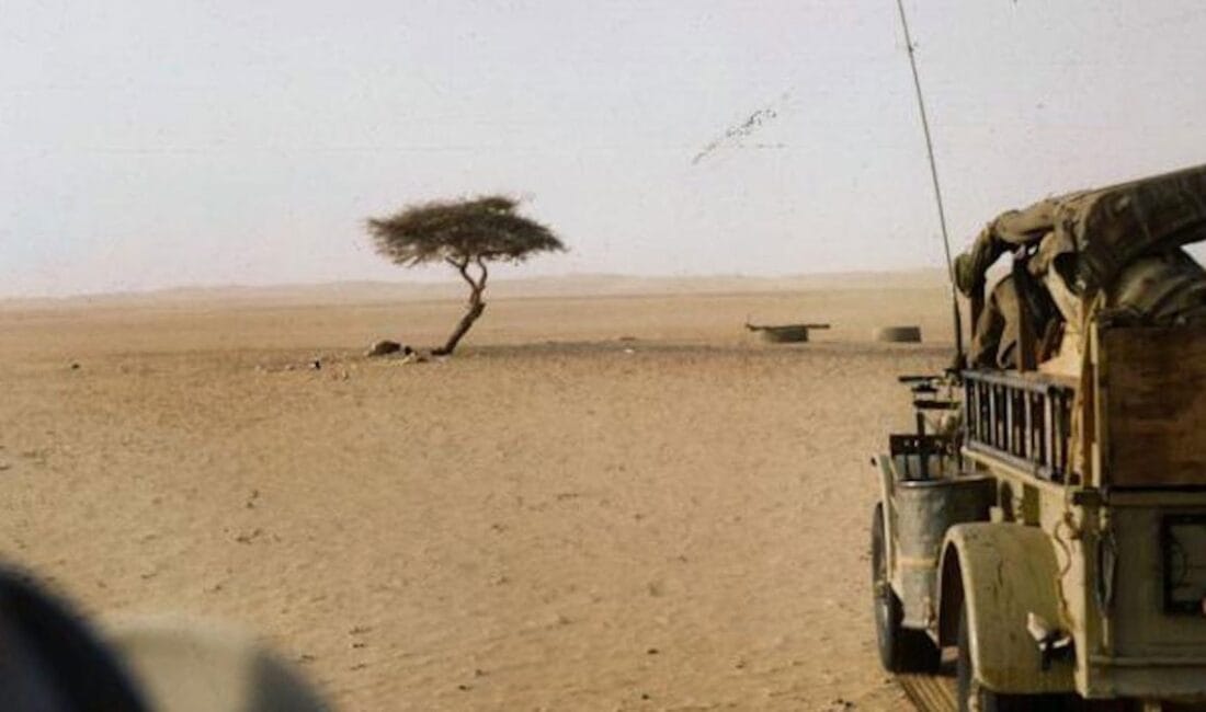 Çoğu insan için Sahra Çölü, sadece sonsuz kum tepeleri ve