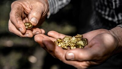 Fransa'da bahçesini kazdığı sırada 616 bin sterlin (yaklaşık 34 milyon