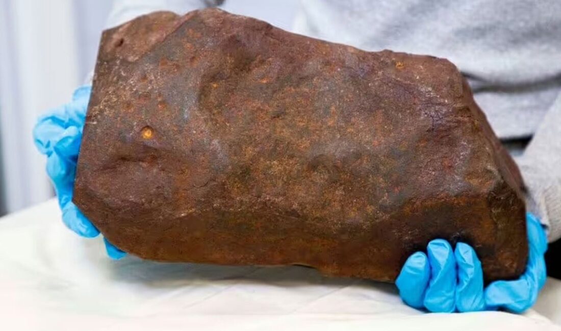 Avustralya'da metal dedektörüyle gezen bir adam, bulduğu taşın altın olduğunu