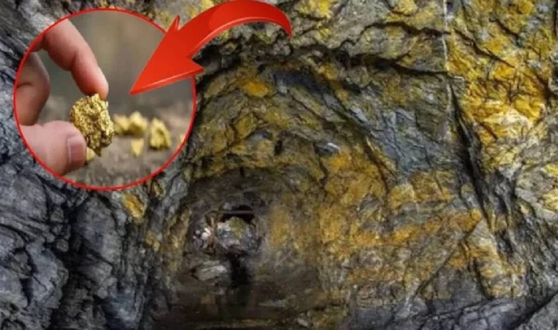 Altın madenciliği dünyanın pek çok bölgesinde yapılıyor ancak bazı madenler,