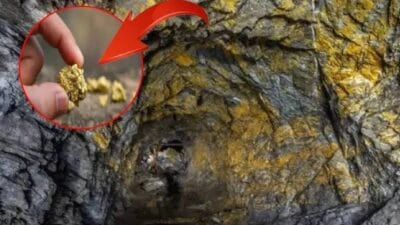 Altın madenciliği dünyanın pek çok bölgesinde yapılıyor ancak bazı madenler,