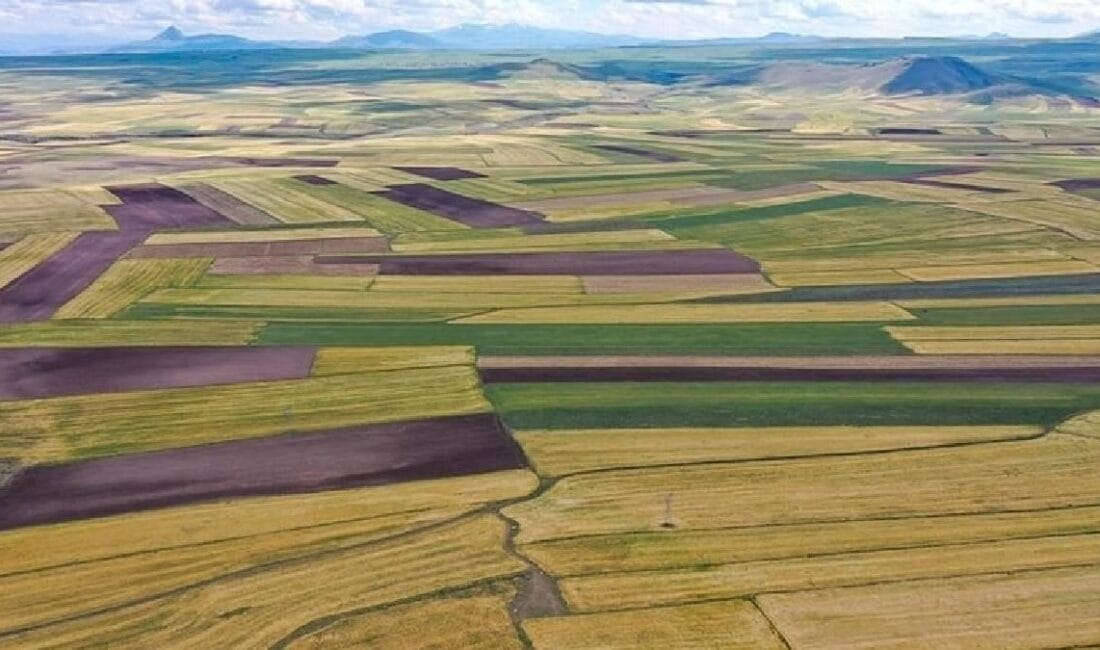 Türkiye’de son yıllarda toprak yatırımlarında ciddi artış görülmesine rağmen, son