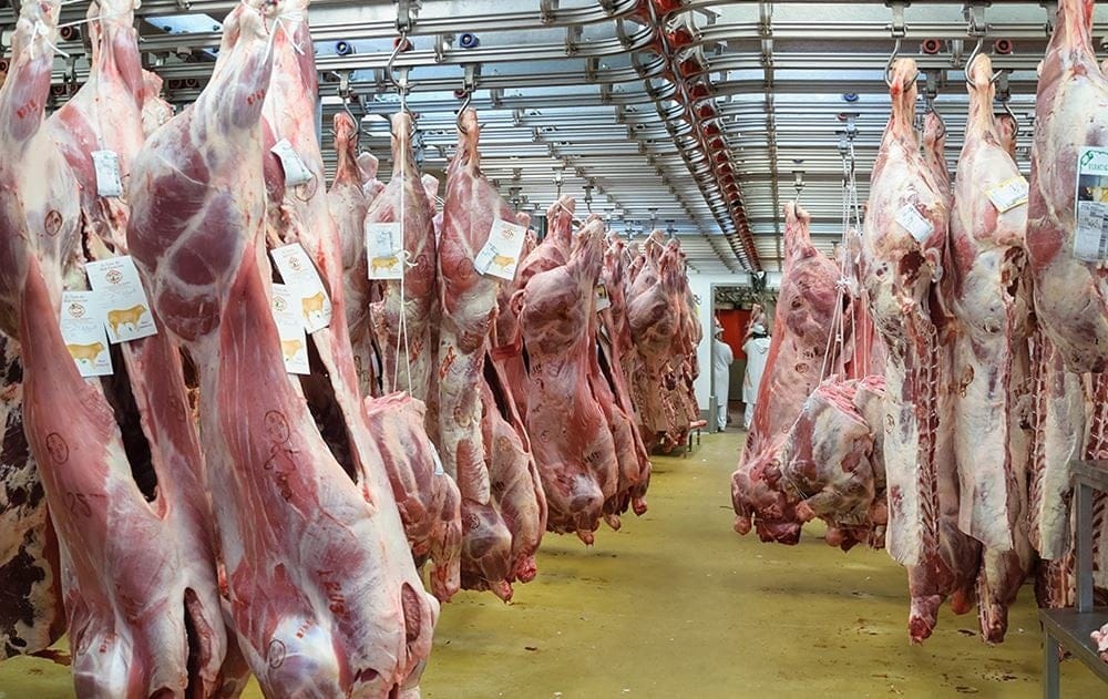 Almanya’nın Aşağı Saksonya eyaletine bağlı Braunschweig kentinde faaliyet gösteren köklü