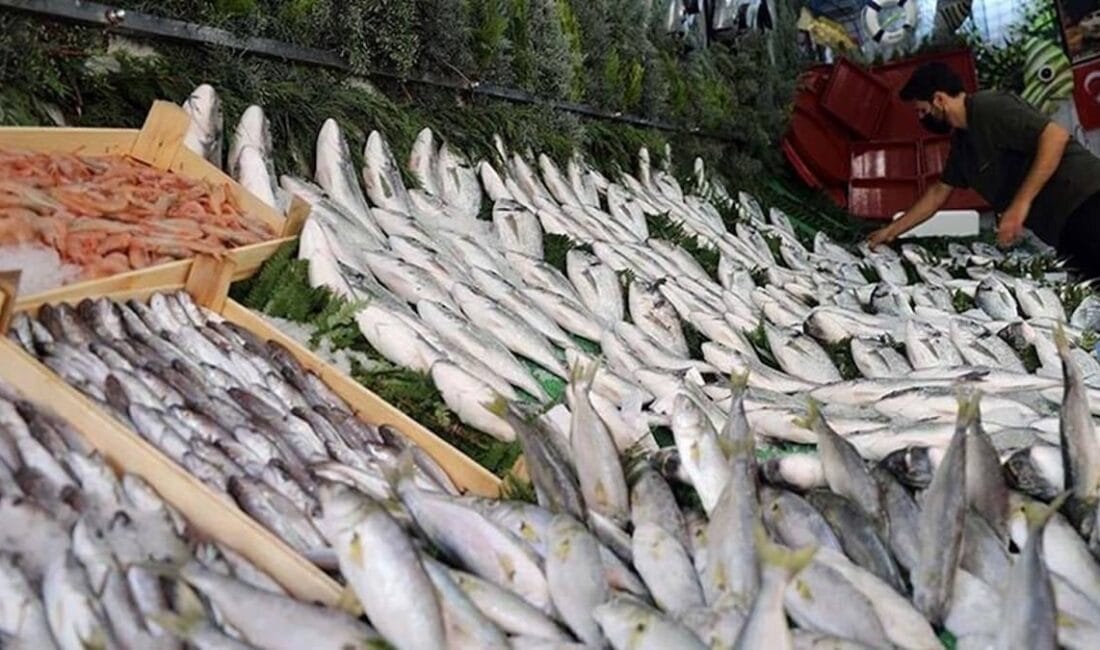 Havaların soğumasıyla birlikte denizler bereketlendi. Balık sezonunun en zengin dönemlerinden