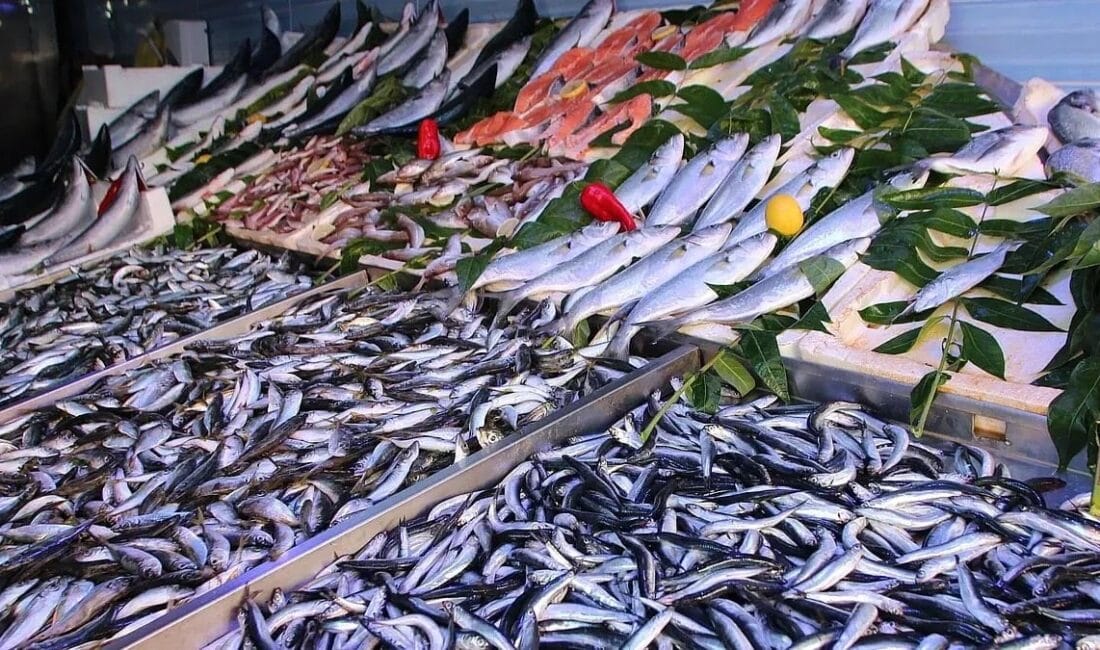 Uzmanlar uyardı, soframıza sıklıkla giren bazı balıklar, yüksek cıva oranı