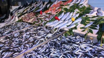 Uzmanlar uyardı, soframıza sıklıkla giren bazı balıklar, yüksek cıva oranı