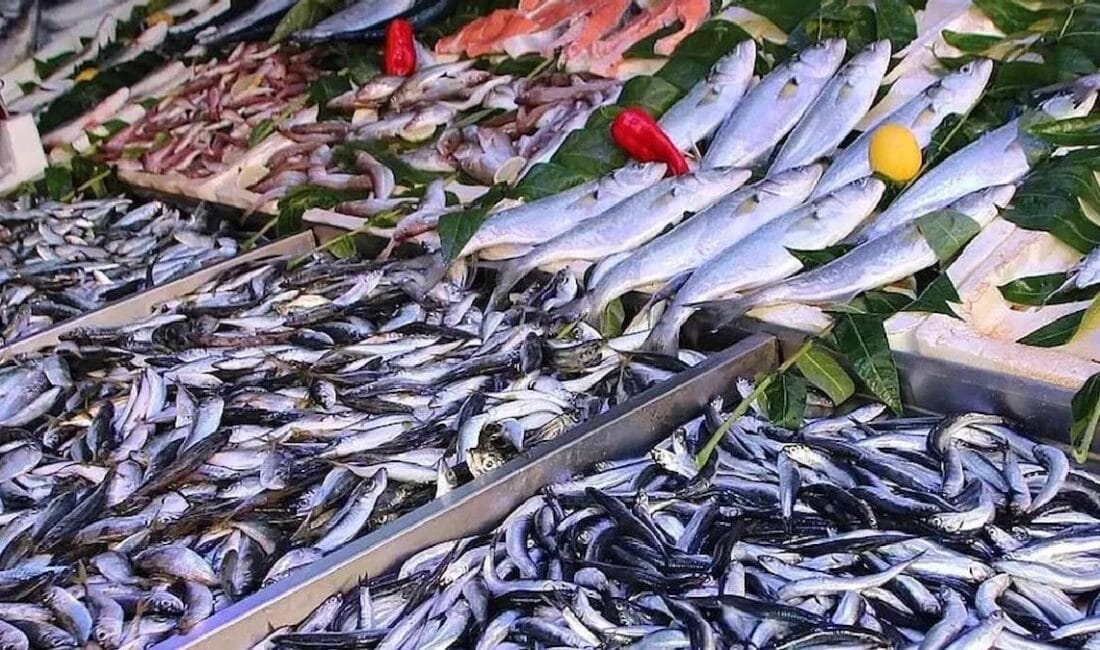 Beslenme uzmanları, kalp ve beyin sağlığını korumada en etkili balık