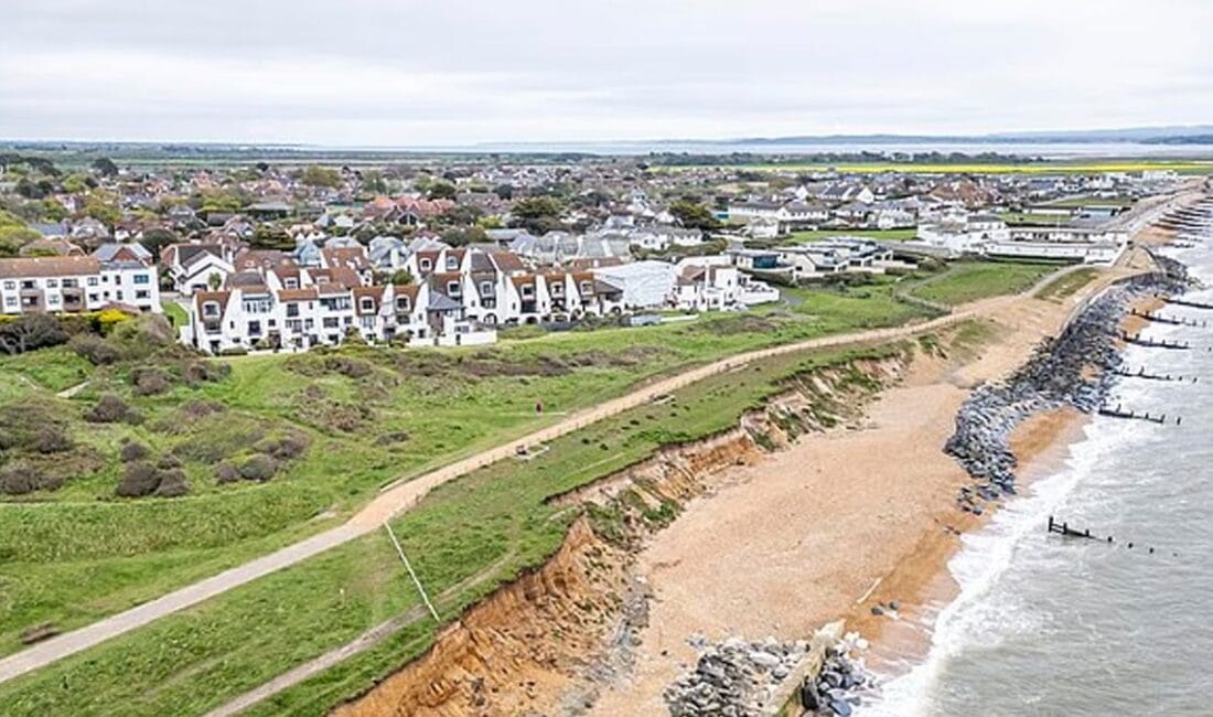 Genç bir çift, İngiltere'nin Hampshire bölgesindeki evlerinin bahçesini temizledikleri sırada