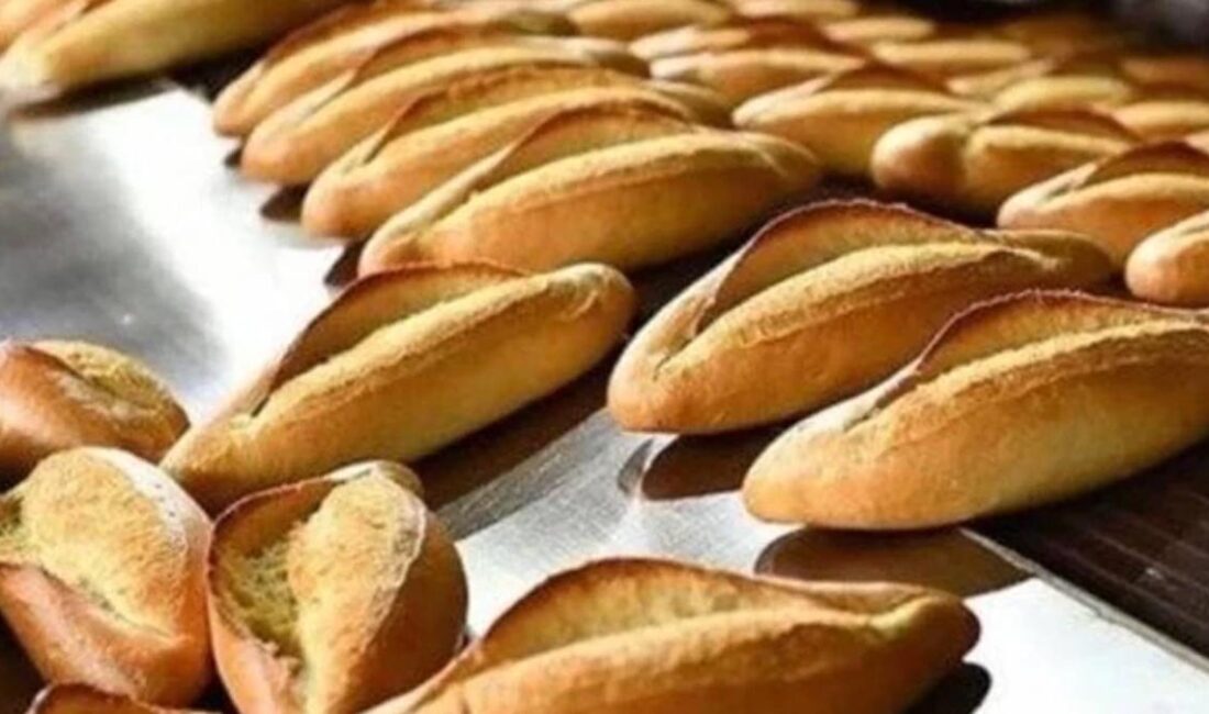 Bilecik'te 200 gram ekmek 2 lira 50 kuruşluk zamla birlikte