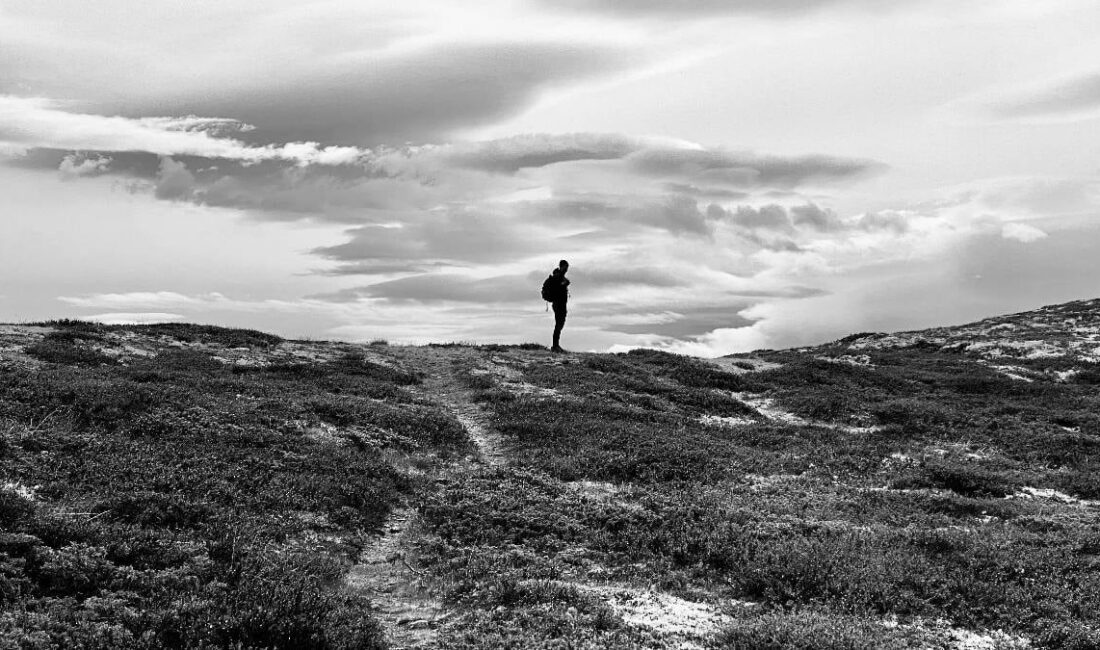 Dünyanın en sessiz yeri ortaya çıktı Rüzgar, hayvanlar ve insan kaynaklı sesler çevrede sürekli gürültü olmasını