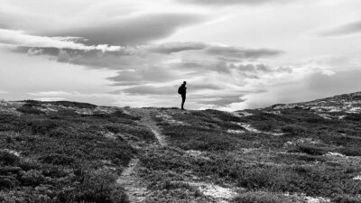 Rüzgar, hayvanlar ve insan kaynaklı sesler çevrede sürekli gürültü olmasını