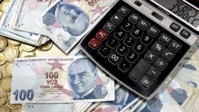 Eski Hazine Müsteşarı, iktisatçı Mahfi Eğilmez, Merkez Bankası’nın 7 Kasım
