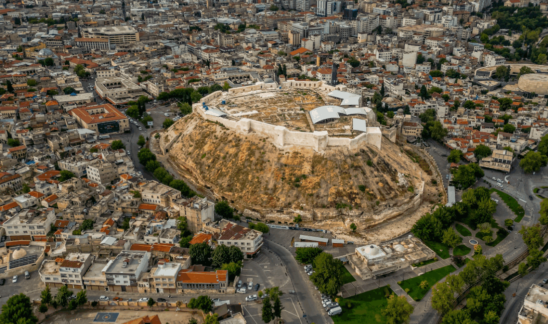 Bir ilimiz diken üstünde: Havadan kar değil bit yağıyor Gaziantep’te son günlerde artan üvez sineği istilası, vatandaşları endişelendirdi. Kentte