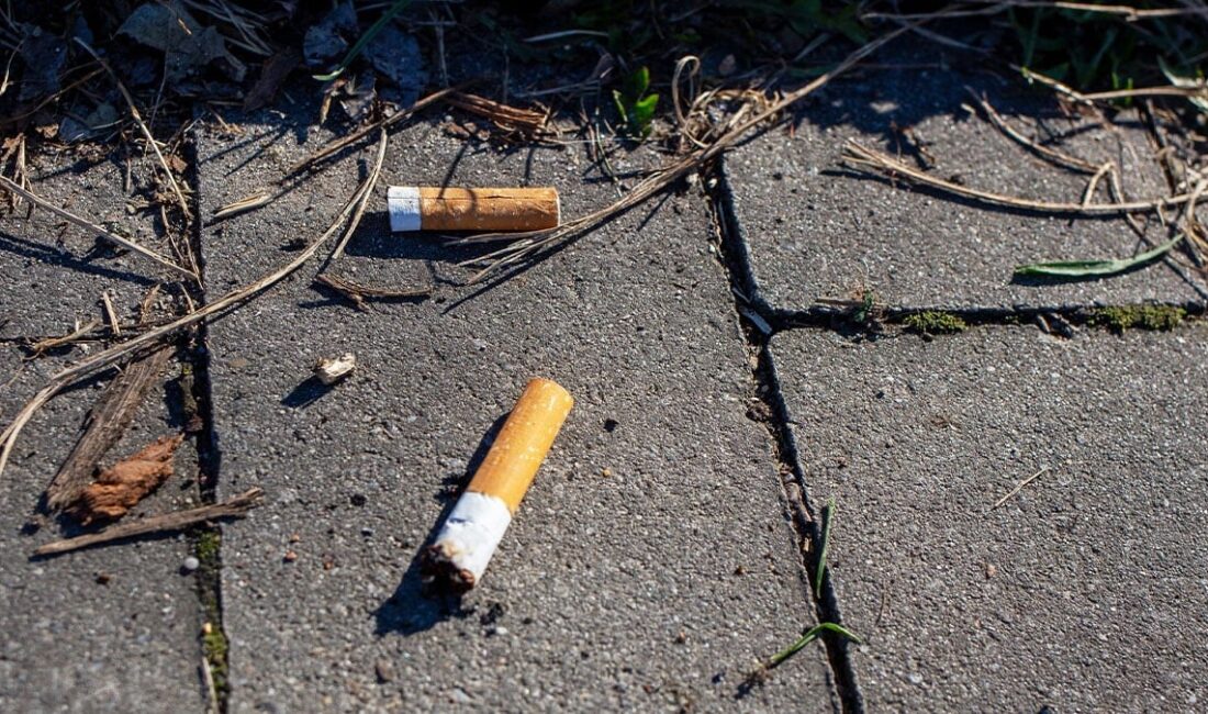 Sigara izmariti atana rekor ceza Dünyanın dört bir yanında sigara izmaritini yere atmanın cezaları katlanarak