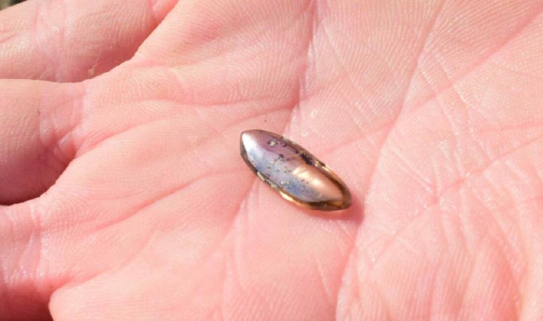 Güneybatı Arkansas’ta bulunan Crater of Diamonds Eyalet Parkı’nı ziyaret eden