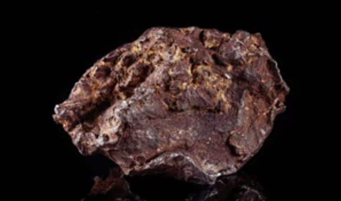 2 milyar yıllık Mars taşında insan DNA’sı izleri bulundu Bilim insanları, Mars kökenli 2 milyar yıllık bir meteorit parçasında