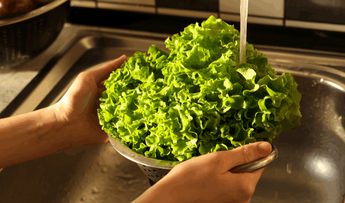 Marul maydanozdaki pestisiti anında temizleyen malzeme Marul, maydanoz, dereotu gibi taze yeşillikler yemeklerin ve salataların vazgeçilmezleri