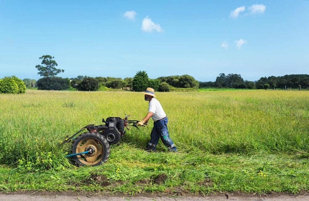 Sıradan bir tarladan milyonluk kazanç elde etmek mümkün mü? Türkiye’nin
