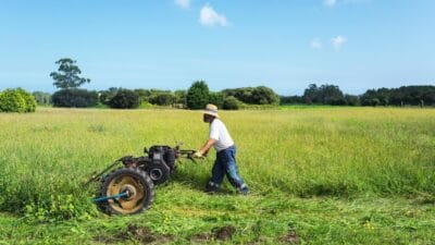 Sıradan bir tarladan milyonluk kazanç elde etmek mümkün mü? Türkiye’nin