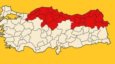 Uzmanlara göre bu zararlı, özellikle fındık, hurma ve mısır başta
