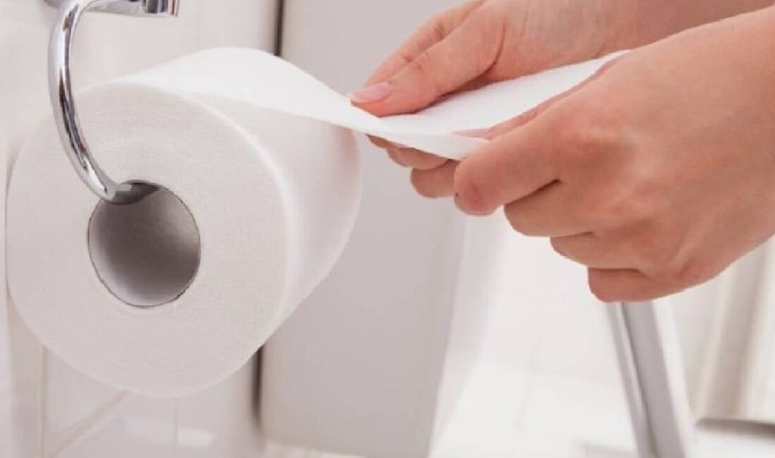 Dünyada uzun yıllar boyunca tek seçenek olarak görülen geleneksel tuvalet