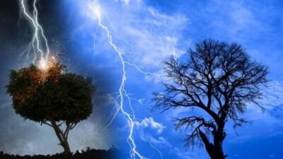 Ev bahçeleri estetik açıdan güzellik kattığı kadar, doğru planlanmadığında ciddi